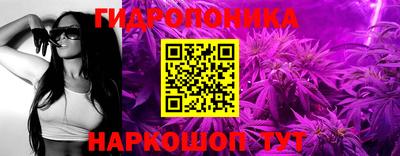 мяу мяу мука Ирбит